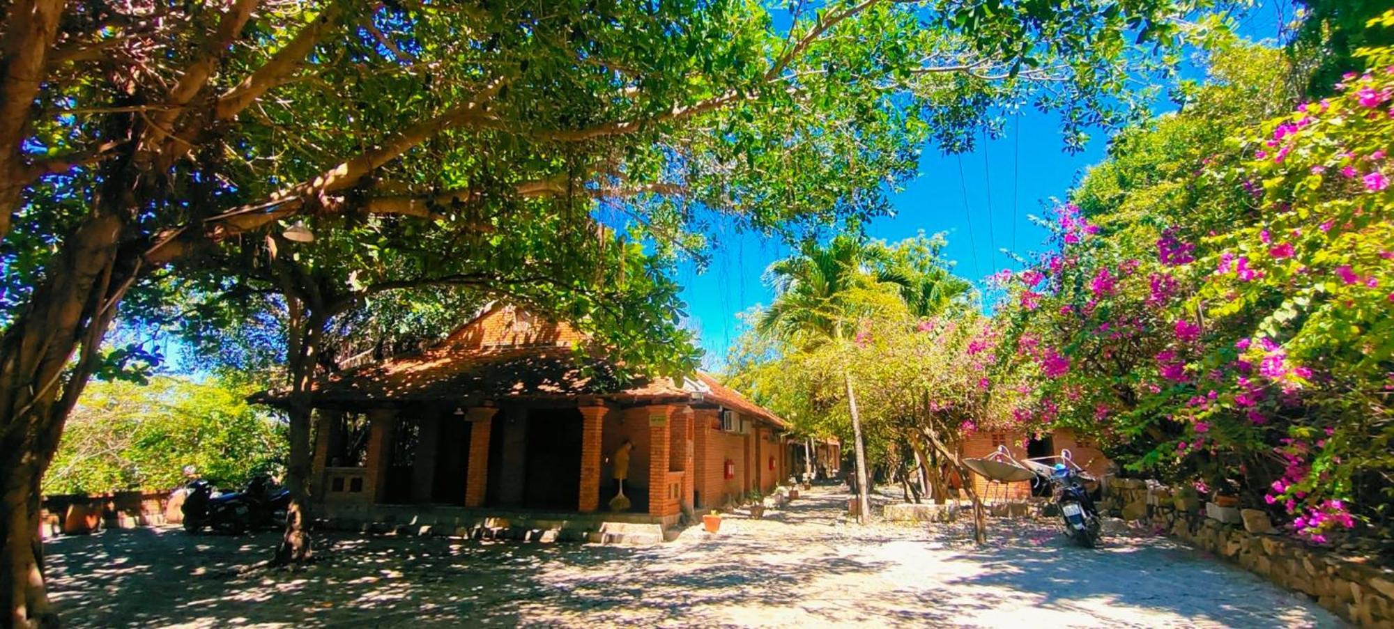 Wild Beach Boutique Resort Ninh Phuoc Buitenkant foto