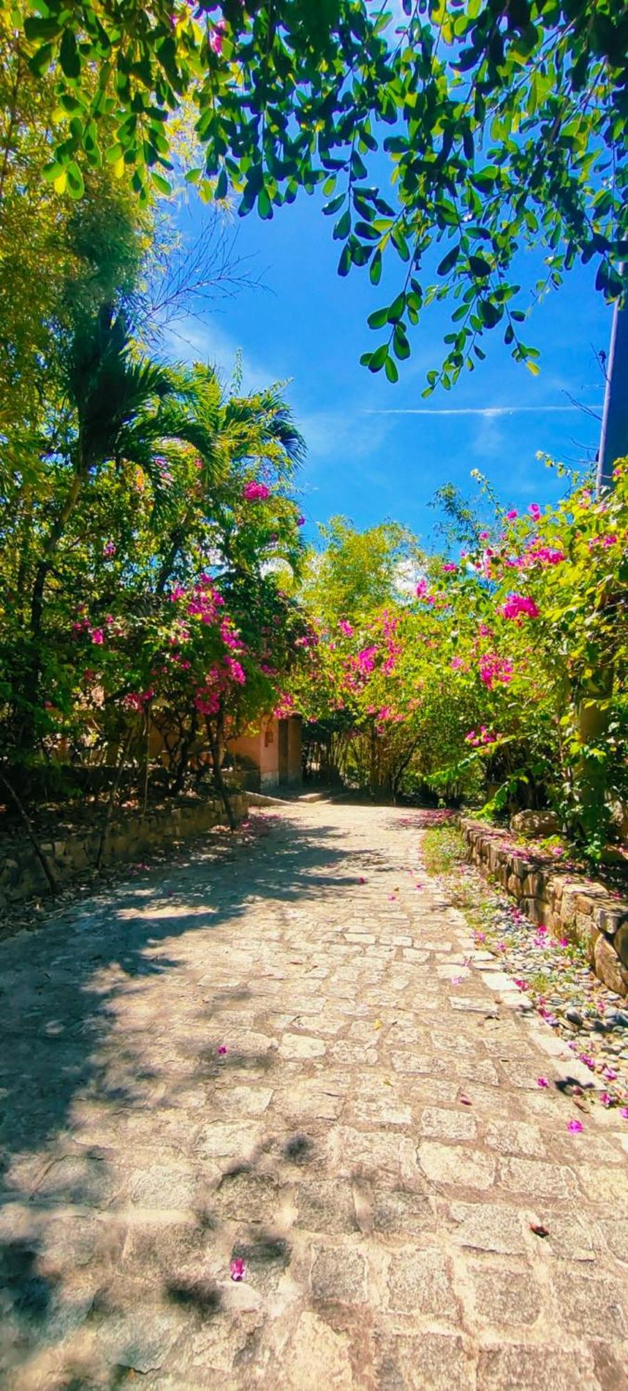 Wild Beach Boutique Resort Ninh Phuoc Buitenkant foto